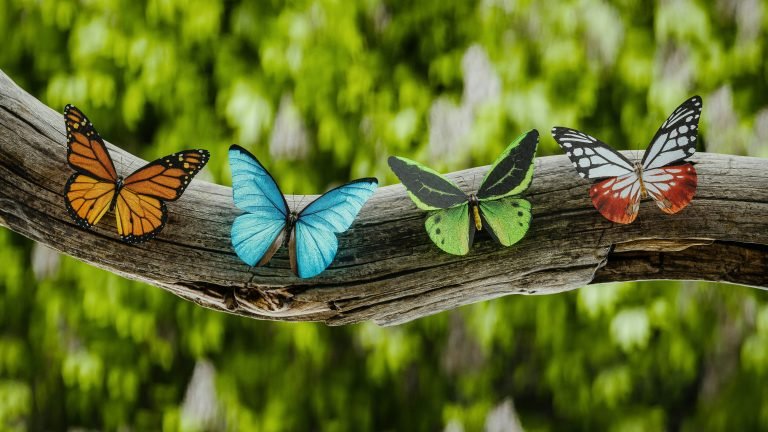 Self-discovery involves understanding ourselves, others, and the world around us