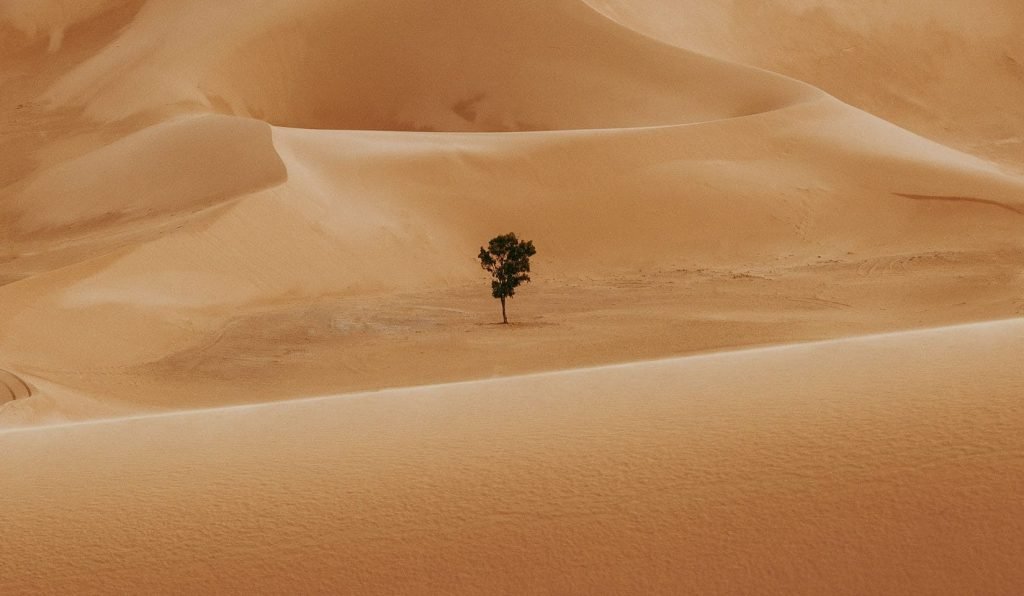 社會企業解決的是什麼樣的社會問題？