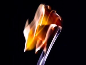 孝の正しい解釈：それは愚者の徳ではなく、智者の道である