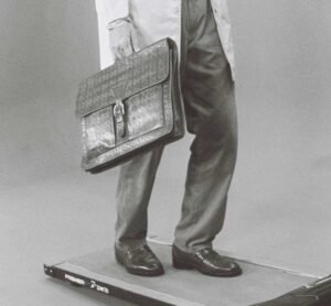 公務員の「制度の駒」としての人生：グローバルな制度進化における犠牲者の論理