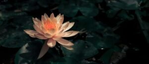 What is emptiness? A dialogue between Kongzhi and Bodhidharma